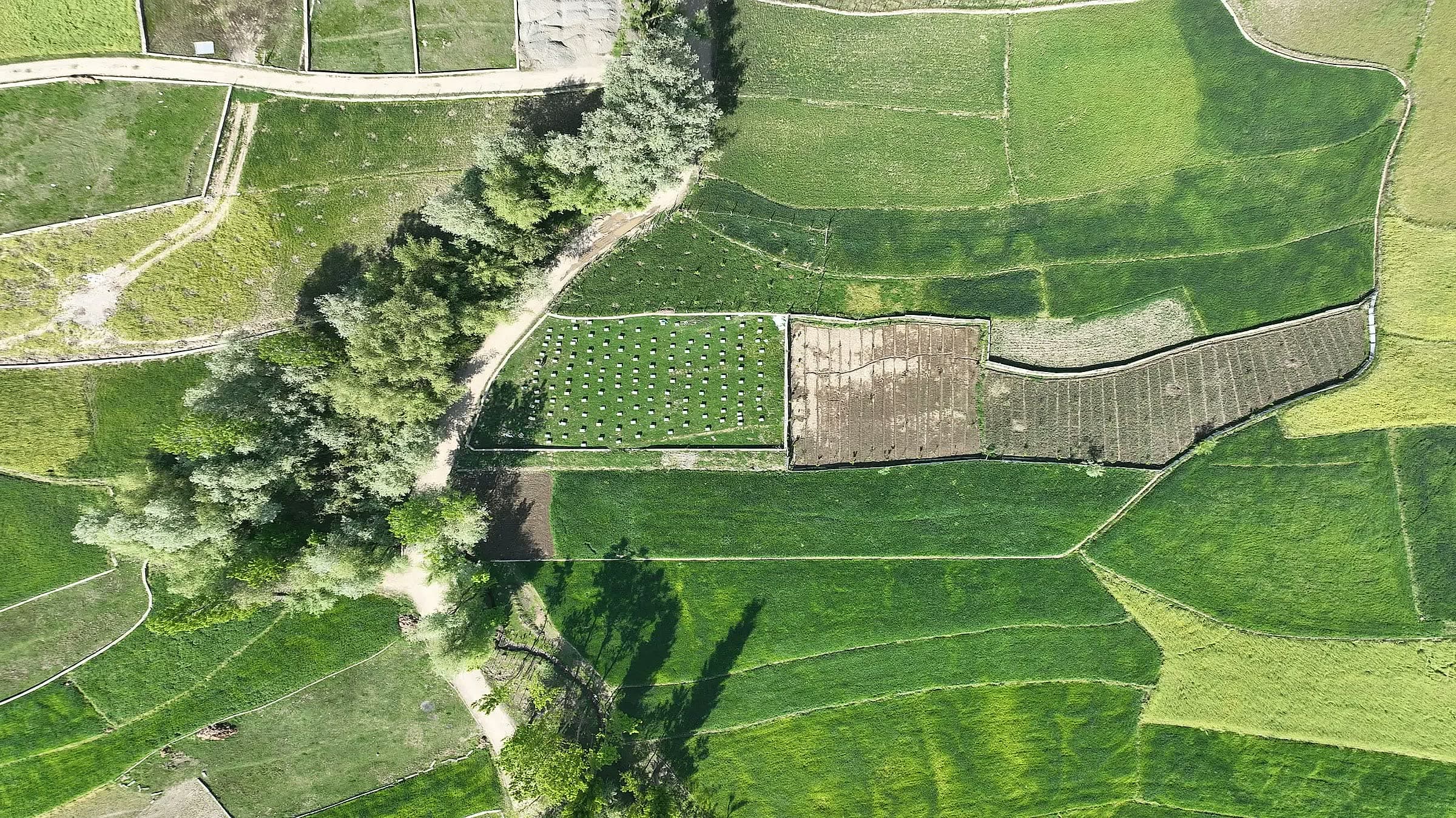Aerial view of farmland and field boundaries, standing in for the sites our sets are built for